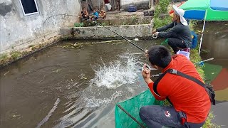 Ini si balap mancing namanya‼️mancing bawal paling bringas.