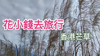 粉嶺芒草怎麼去+交通:巴士站/小巴站步行記錄@香港芒草2021 How to get to Ping Yeung Silver Grass Field, Hong Kong Miscanthus