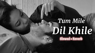 Tum Mile Dil Khile - [ Slowed + Reverb ] - Arijit Singh