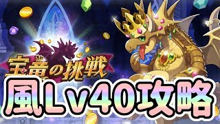 【ドラガリ】宝竜の挑戦 風Lv40【ドラガリアロスト】[Dragalia Lost]