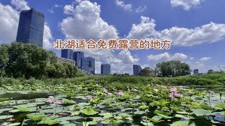 长春北湖公园周边露营赏荷花的地方