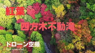 四方木不動滝【秋 紅葉】知る人ぞ知る紅葉の名所【ドローン空撮】千葉県 鴨川市