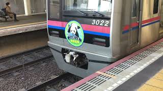 京成電鉄3000形電車　上野動物園パンダ　シャオシャオ命名記念ヘッドマーク