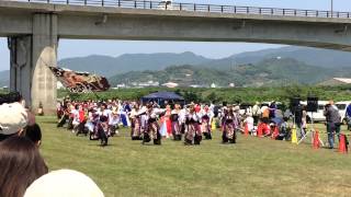 吉祥桜樹による演舞 ／ みやこ姫よさこい祭 芝生パレード