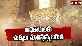 అధికారులకు చుక్కలు చూపిస్తున్న చిరుత | Operation Chirutha At Godavari District | ABN Telugu