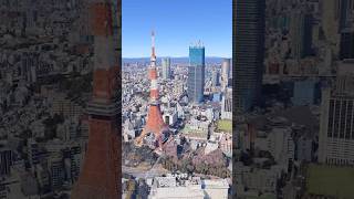 Tokyo, Japan #travel #geography #3d