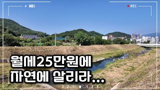 월세25만원(관리비포함)에 자연에 살리라...｜구미에 사는 사람들 #전원주택