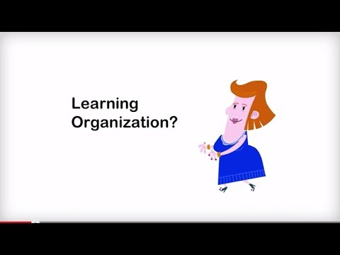 Organizational Learning Youtube