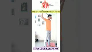 shoulder extension | best exercise for shoulder