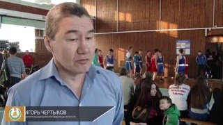 Чемпионат и первенство Республики Хакасия по боксу 12-15 января 2016 г.