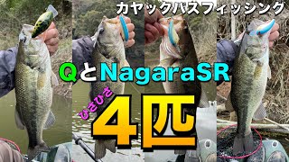 白菜のカヤックバスフィッシング#75 一気に減水！ひさびさ4匹！