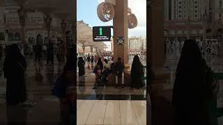 INILAH BATAS SHOF SHOLAT DI MASJID NABAWI