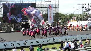 2024.かみす舞っちゃげ祭り本祭(メインステージ)櫻″with千葉城太鼓