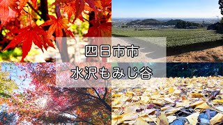 一度は行ってみたい、四日市市の定番紅葉スポット「水沢もみじ谷」