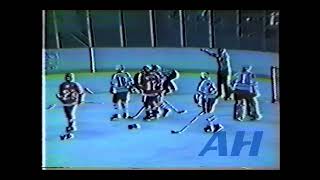 AHL ?. ?, 1983-84 Mike Heidt,NH v Brian Johnson,ADI New Haven Nighthawks Adirondack Red Wings