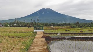 Dempo Volcano Eruption Update; New Volcanic Eruption, Minor Ashfall