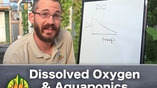 Aquaponics \u0026 Dissolved Oxygen: The Basics