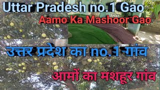 Malihabad ka Bap Hai Ye Gao,Aamo 🥭 मलिहाबाद का बाप है ये गांव आमों के बारे में।।Vlogs.