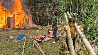 The mother decided to cut down the tree and prepare to rebuild the house to live in#@Toan1999vn