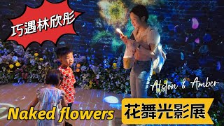 【NAKED FLOWERS 花舞光影展】視覺、聽覺、嗅覺、觸覺享受｜巧遇林欣彤｜尖沙咀