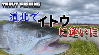 道北でイトウに逢うtrout fishing　#イトウ＃タイドミノ－#マスケグ