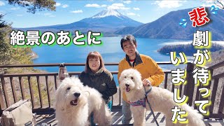 [I was exhausted by the unexpected situation] Be careful with dogs when traveling from Lake Motos...