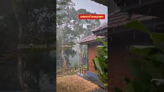 വയനാട് തരുവണയിൽ ഇന്നത്തെ ശക്തമായ വേനൽമഴ • Heavy Summer Rain in Tharuvana • #shorts #trending #viral