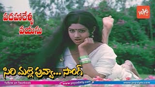Sirimalle Puvva Video Song HD | Padaharella Vayasu Movie Songs | Sridevi | YOYO TV Music