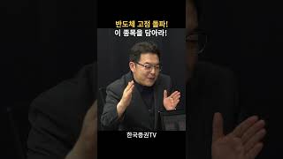 반도체 고점 돌파! 지금 담아야 하는 반도체 최선호주는?(김대준 대표)