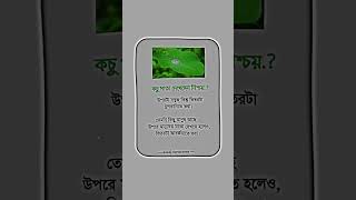 এক লাইন বলে জাও তুমরা #shortvideo