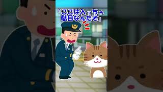 【2ch】駅に迷い込んだ猫と駅員さん【ほっこり】 #Shorts