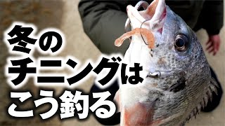 【チニング】寒い時期に短時間で釣れる！冬のチニングがコチラ！