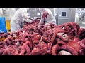 흥미롭고 생생한 수산물 가공공장과 전문식당 몰아보기 / Korean seafood processing plant - Seafood restaurant