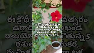 మీ రాశి ఏంటో వ్యాఖ్య చేయండి  #rasiphalalu #ugadi panchangam