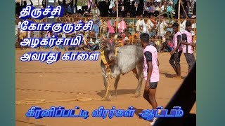 பனங்குடி வடம் கோசகுருச்சி காளை