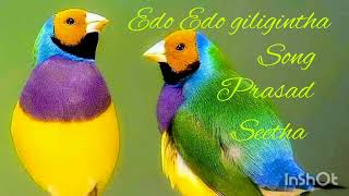 Edo Edo Giligintha Song by  Prasad \u0026 Seetha