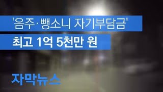 [자막뉴스] ‘음주·뺑소니 사고’ 내면 자기부담금 최고 1억 5천만 원 / KBS뉴스(News)