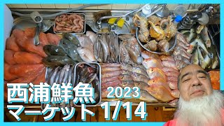 【2023/1/14】西浦鮮魚マーケットでお買い物【買い物編】