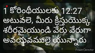 అటువలె, మీరు క్రీస్తుయొక్క రీరమైయుండి వేరు వేరుగా అవయవములై యున్నారు