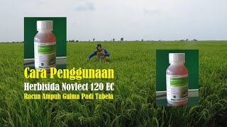 Cara Penggunaan Herbisida Novlect 120 EC – Racun Ampuh Gulma Padi Tabela