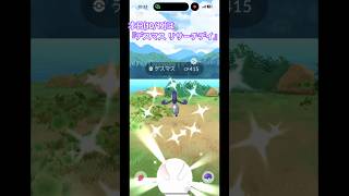 デスマスのリサーチデイをしっかり参加しています!#ポケモンgo #pokemongo #色違い