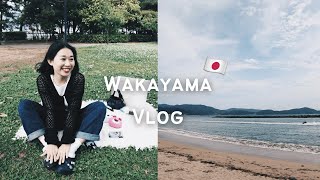 【日本生活VLOG】在日生活日常、不到一週的VLOG🤣造訪和歌山世界遺產🇯🇵日本野餐初體驗🌞✨🥪｜152の日常