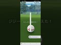 ポケモンgo 　ジジーロン　色違い　しかもデカイ