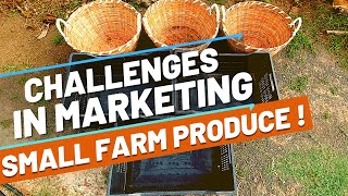 Selling small farm's produce. Is that easy!?