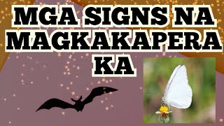 7 Signs na Magkakapera ka | Senyales na suswertehin ka na @dreamsmaster1818