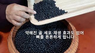 콩 한알 175배 수확 / 쥐눈이 콩 효능