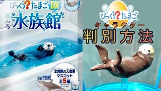 びっくらたまごDXおふろ水族館　判別方法