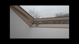 Rain On Roof Window Sounds For Sleeping, Relaxing . Glass Skylight Water Drops Downpour Ambience