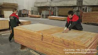 China Large Scale Plywood Manufacturer