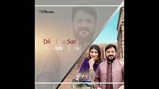 New Saraiki Song Shorts Status | Siyana By Tahir Nayyer | Part 19